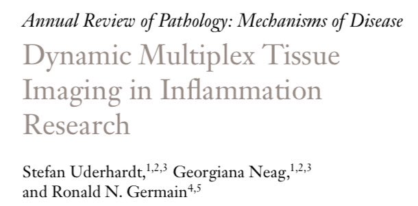 Waitaminute <a href="/AndrsHidalgo16/">Andrés Hidalgo</a> . Just realized that ours is in the same issue. What you can do with imaging and exclusive excerpts from our personal lab diaries with practical aspects of dynamic imaging: annualreviews.org/doi/pdf/10.114…