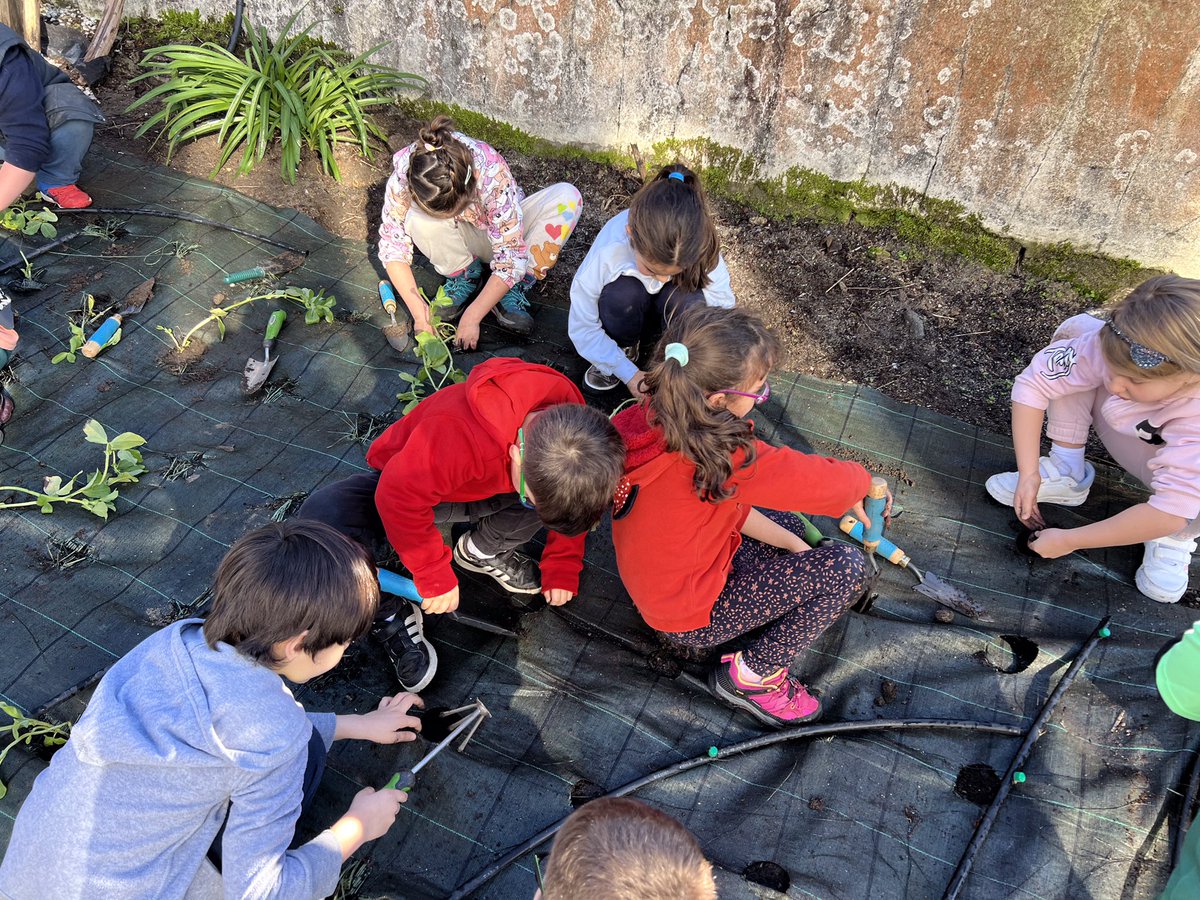 AldanCeip's tweet photo. Estes días estamos preparando a #hortaescolar coa axuda de @asoc_xaruma ! Comezamos plantando!🥕🧅🥦 https://t.co/mXHZpnOcDT