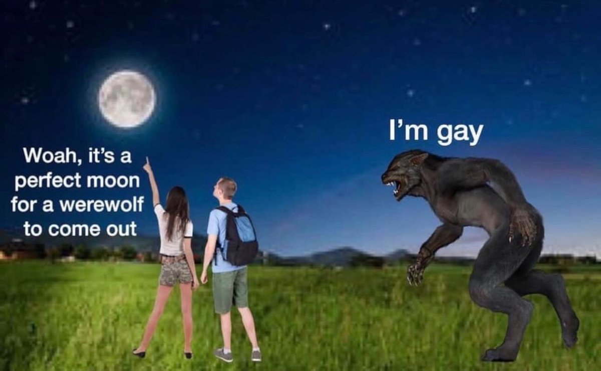 nocontextmemes's tweet image. 