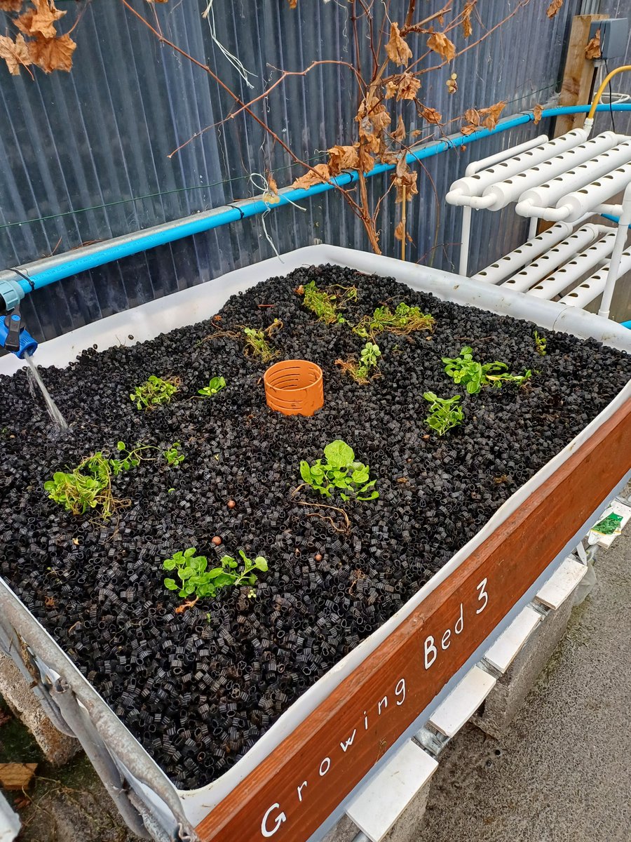 Keywater Fisheries tweet media