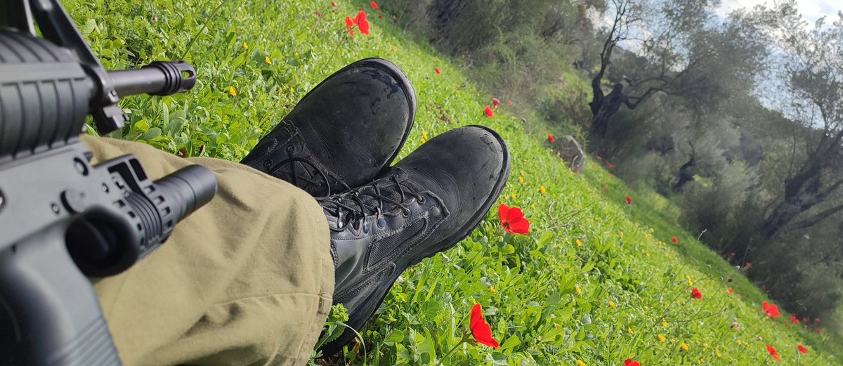 Jonathan Meyrav tweet media