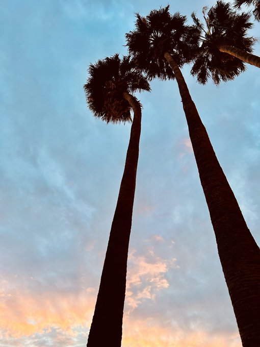 Beautiful morning view 😎 https://t.co/bejM8oM6PQ