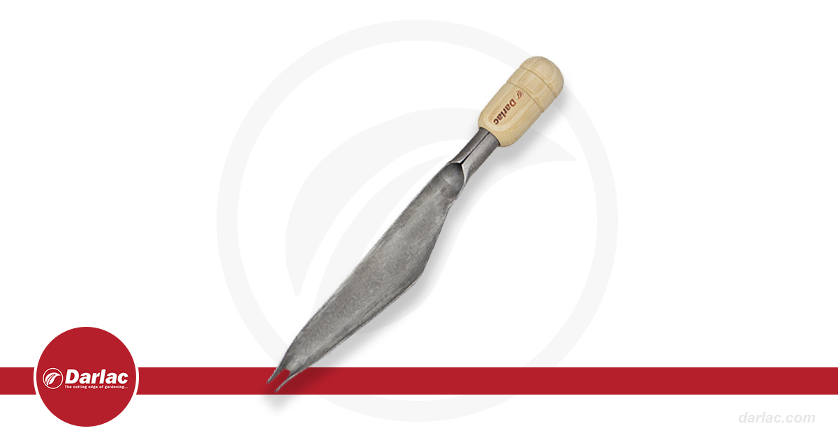 Make seed sowing easy and accurate every time with our Bamboo Weeding &amp; Seeding Trowel. It’s also great for weeding in tighter spaces!

Pick yours up over on the <a href="/mrfothergill/">Mr Fothergills Seeds</a> website 🌱
mr-fothergills.co.uk/products/darla… 

#weedingtool #seedingtool #sowseeds #sowingseeds #gardenweeds