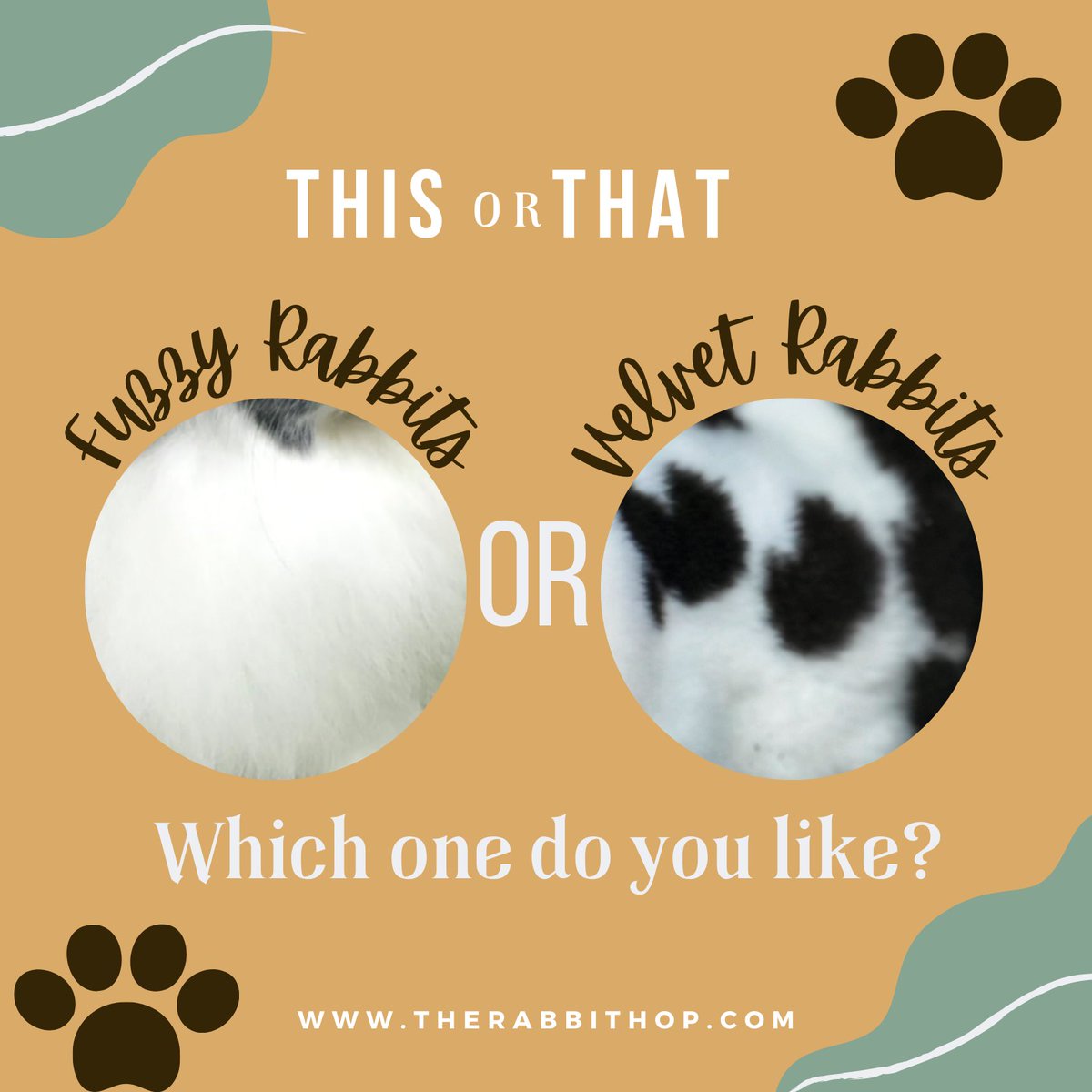 'Let us know which one you prefer. Comment down below. 👇'#rabbitslovers #rabbittips #rabbitlove #rabbits #rabbitrylove #rabbitry