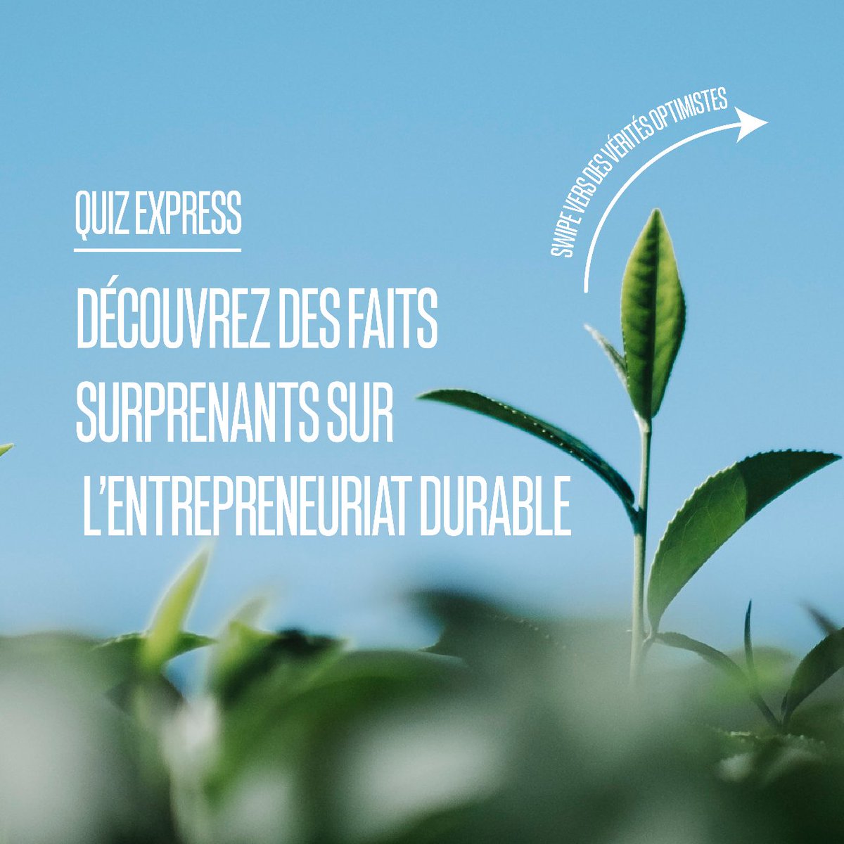 Chaire BEST tweet media