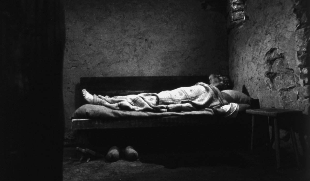 duodepassionnes's tweet photo. Sátántangó, Béla Tarr (1994)

Il est qualifié comme l’un des films les plus importants du cinéma et je comprends pourquoi. Le film est sublime sur tous les points, la beauté de l’image, le sentiment mélancolique, la poésie cruelle des images qu’on voit, du grand cinéma. Obak https://t.co/LciNmjpS4t