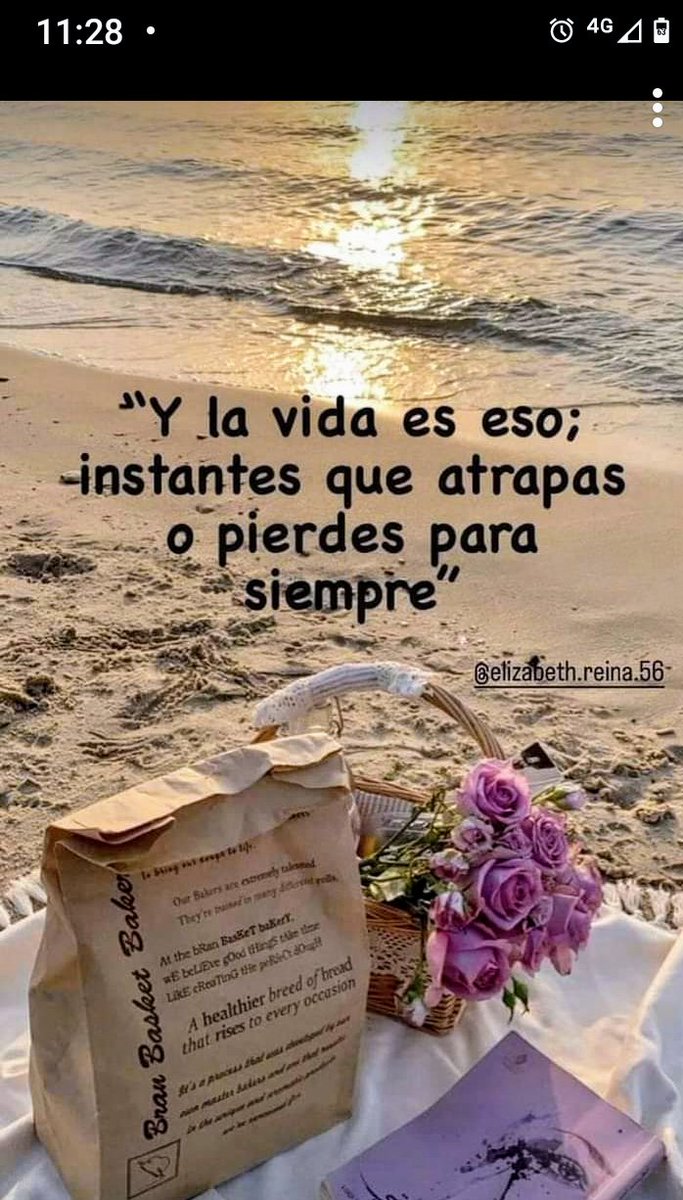 AnaRRosell's tweet photo. No nos damos cuenta, vivimos dormidos entre almohadas de plumas, con las que volamos... nuestras vidas vuelan el vuelo de lo irreal, de lo que siempre presentimos sería mejor, en realidad es porque siempre queremos más:"Y la vida es eso momentos que atrapas o pierdes parasiempre" https://t.co/UI0jyqKZNY
