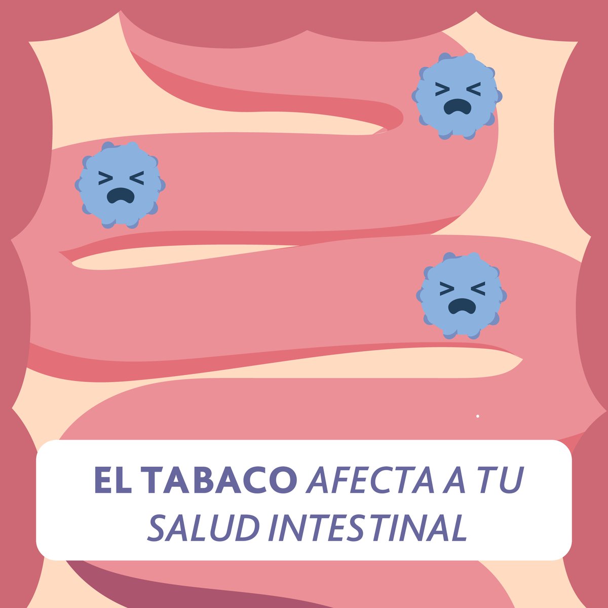 ¿Sabías que el tabaco no solo afecta tus pulmones, sino también tu salud intestinal? 💔

👉 Desequilibrar la microbiota
👉 Desencadenar respuestas inflamatorias
👉 Aumentar el riesgo de enfermedades

¡Dejar el tabaco es un regalo para tu salud intestinal y general! 🚭