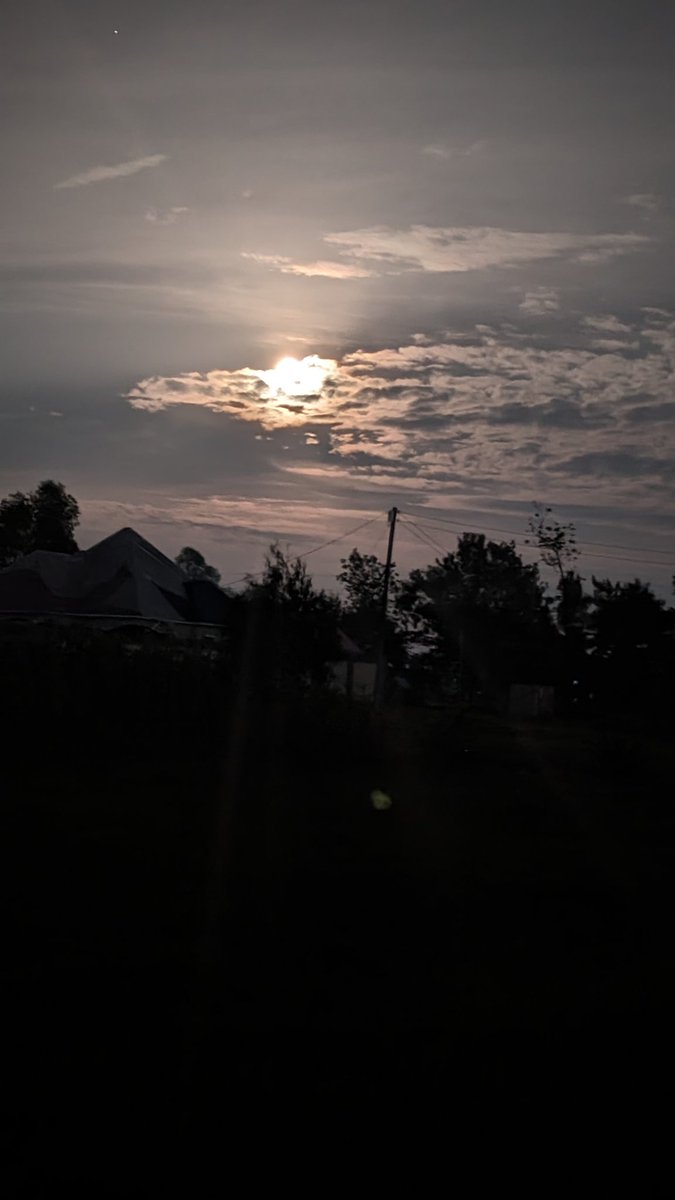 BensaysMag's tweet image. Night sight
#Pixelshot
20:03 pm