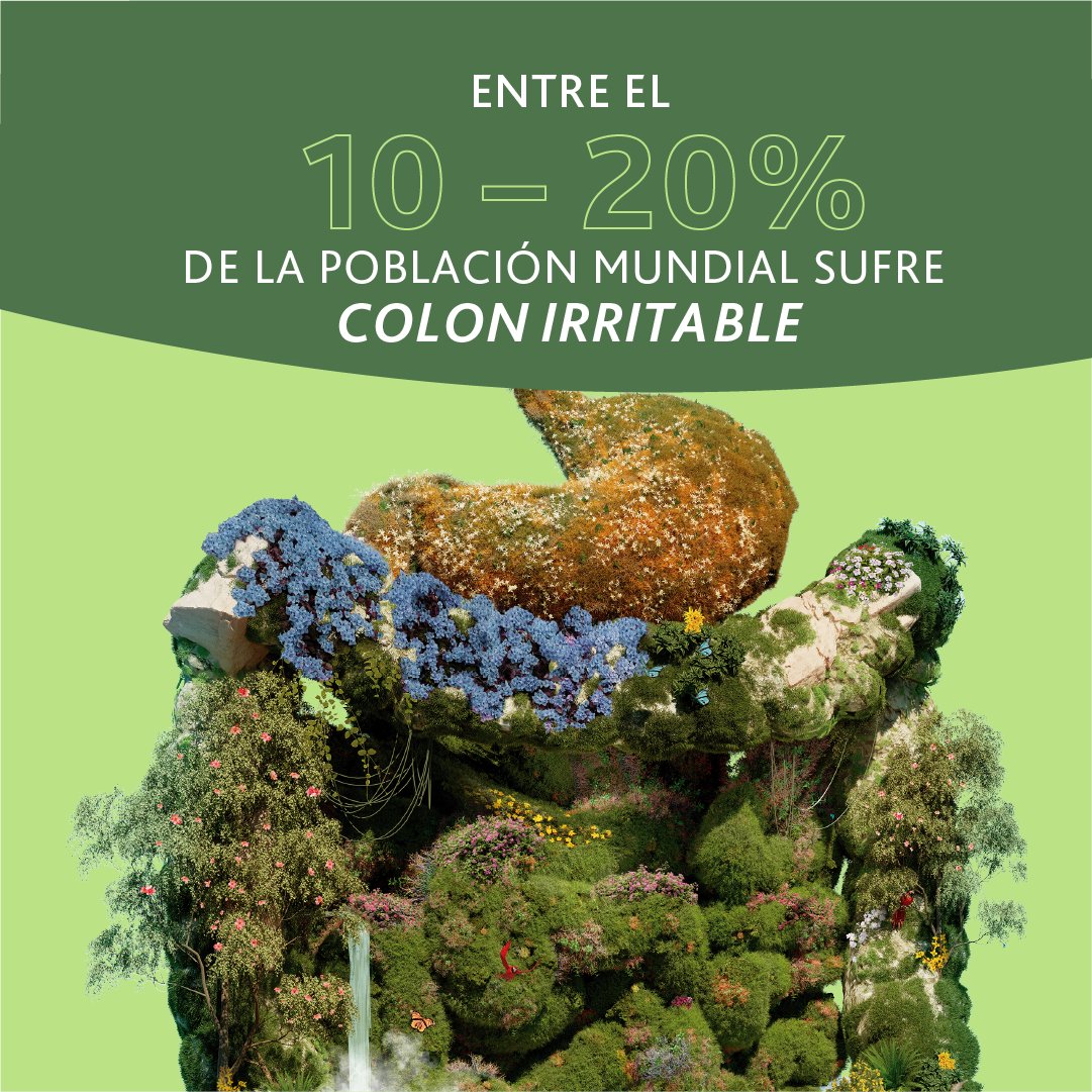 Este trastorno gastrointestinal puede manifestarse con síntomas como dolor abdominal, cambios en los hábitos intestinales y malestar general.

¡Los probióticos pueden ayudar a aliviar estos síntomas!