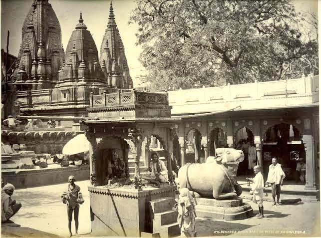 The ASI survey has confirmed that the disputed Gyanwapi structure was constructed after demolishing a large Hindu temple.

Nandi always faces towards his Bhagwan's temple. Here's the Nandi of Kashi Vishwanath, facing the disputed structure. Hopefully, his wait ends soon.