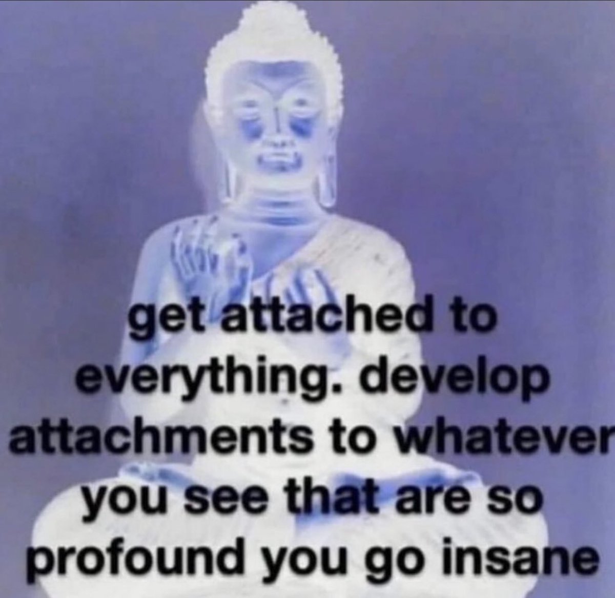 vividvoid's tweet image. gm