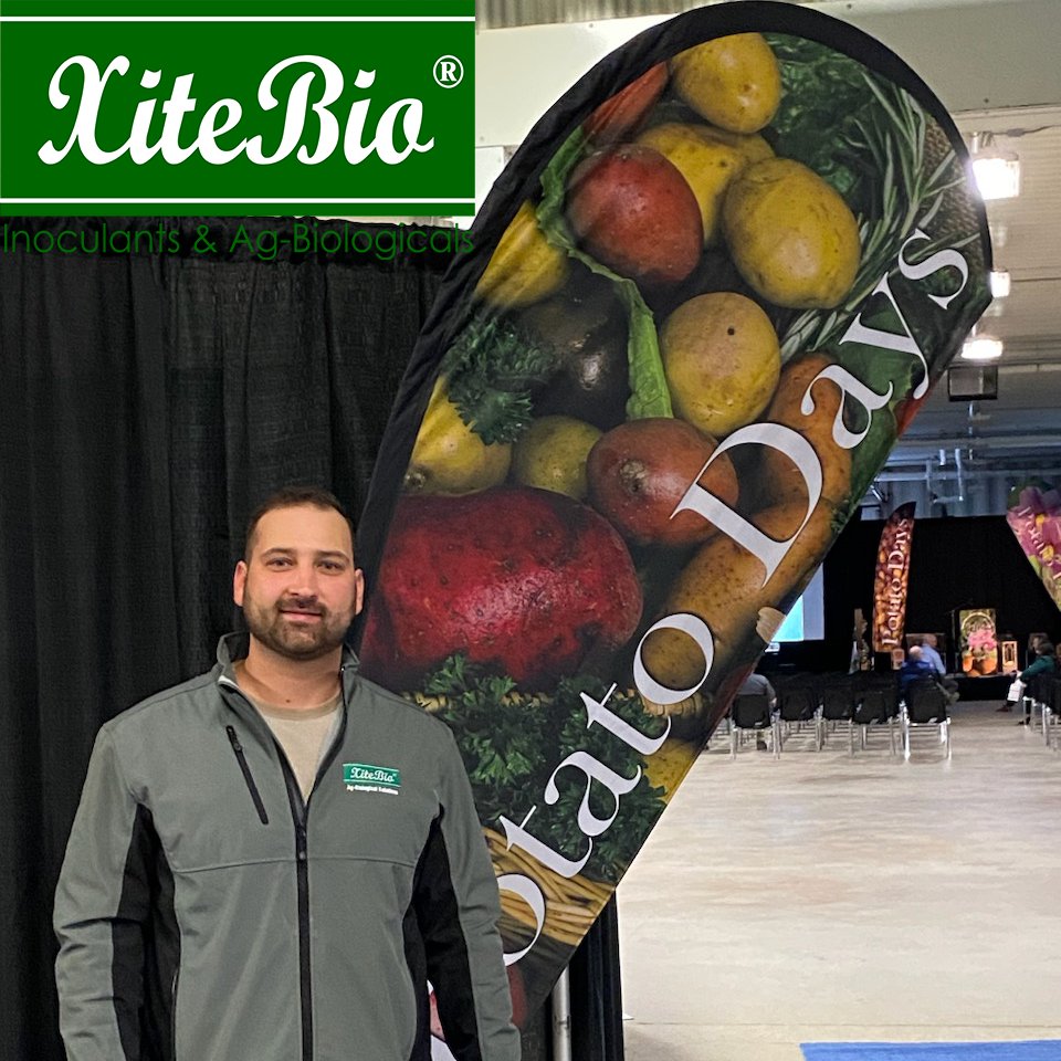 XiteBio_Ag's tweet photo. Catch our Western Canadian Sales Manager Jared Joyal at Manitoba Potato Production Days today in Brandon to talk about our P-solubilizer for tubers. #PotatoDays #MPPD24 #MBPotatoDays #MBag https://t.co/O79HsconsF