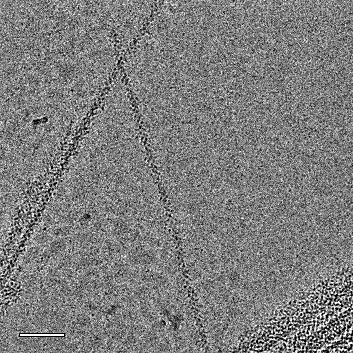 THE DUMENIL LAB tweet media