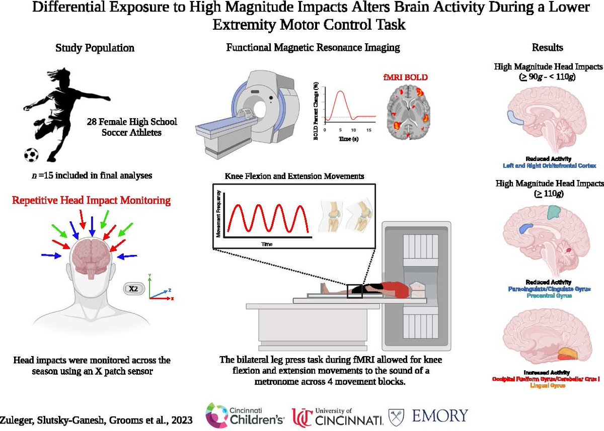 Excited to have this paper available online from #BrainResearch  <a href="/Emory_SPARC/">Emory Sports Performance And Research Center</a> 
sciencedirect.com/science/articl…