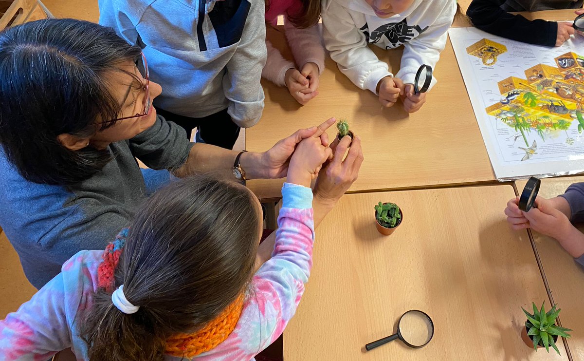Els infants de 1r hem viscut una bona experiència amb <a href="/martihendrichs/">Marti Hendrichs</a> , experta en l’ensenyament de les ciències. A l’aula ens ha proposat observar amb lupes les plantes!! Ens ha agradat molt!! #ViuDomeny #STEM #ciènciaalaula👩‍🔬💻👩‍🏫 #scienced