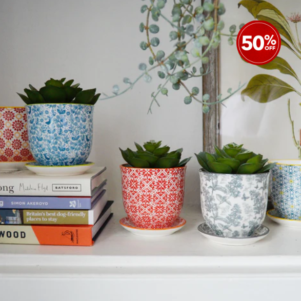 wormturned's tweet photo. 🌼 Perfect gifts at 50% off  - only until 31st January! 
https://t.co/Hsm9EPVUCd https://t.co/lCUEoPkbOZ