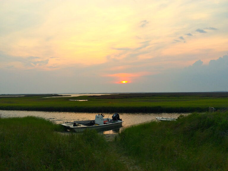 'DEGREES OF CHANGE: Why #WaterTemperatures Matter - New research looks at long-term trends in NC #estuaries — changes that could bring new species to our coast.' #CoastWatchNC #APNEP #Albemarle #Pamlico  
ncseagrant.ncsu.edu/coastwatch/win…