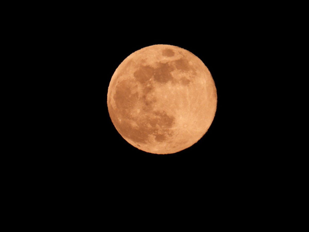 KissJenci89's tweet photo. #Moon https://t.co/wwzwm50vC4