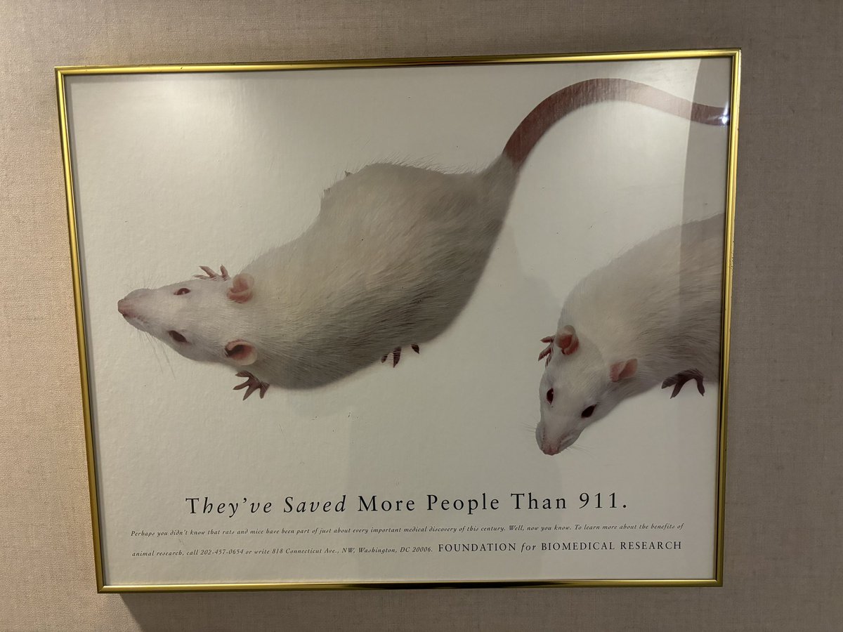 Walked by this picture at the hospital today and I’ve just been staring at it in awe for minutes now. The uneven italicization. The fact that the tag line initially makes you think of 9/11. The unintentional anti-cop messaging. It’s perfect