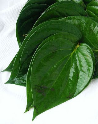 Here are some potential health benefits associated with betel leaves:

1. Oral health: Betel leaves may have antimicrobial and anti-inflammatory properties, which could help combat oral bacteria and reduce the risk of dental problems like gingivitis and periodontitis.

2.…