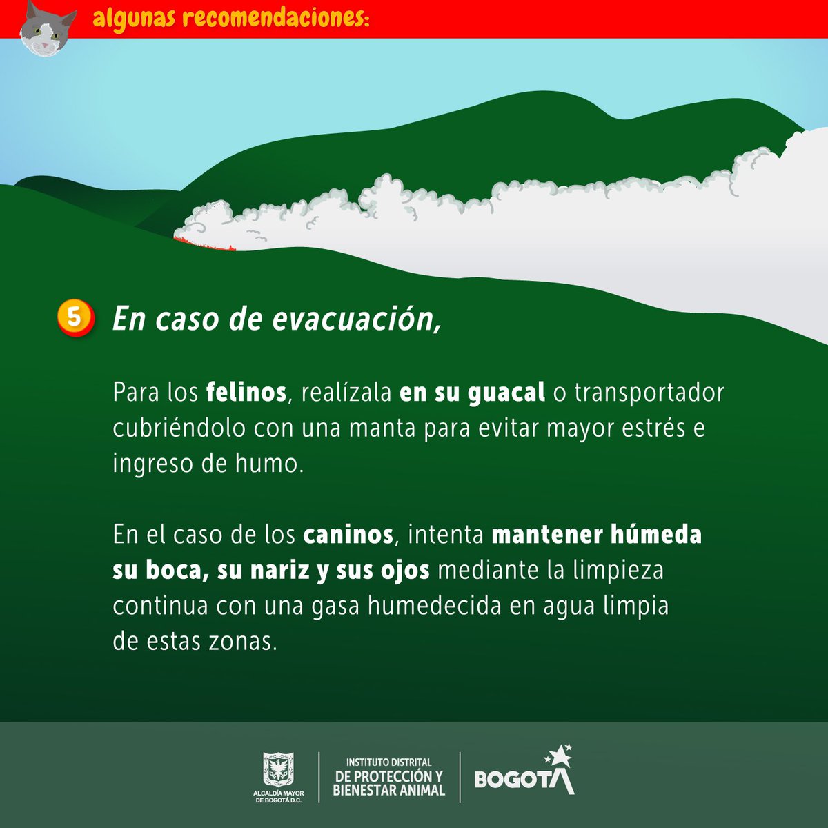 AnimalesBOG's tweet photo. 🚨ATENCIÓN, COMPARTE🚨 El humo, el calor y otras condiciones relacionadas con los incendios, pueden afectar la salud y poner en riesgo a los animales de compañía. https://t.co/3C1XUnv63j