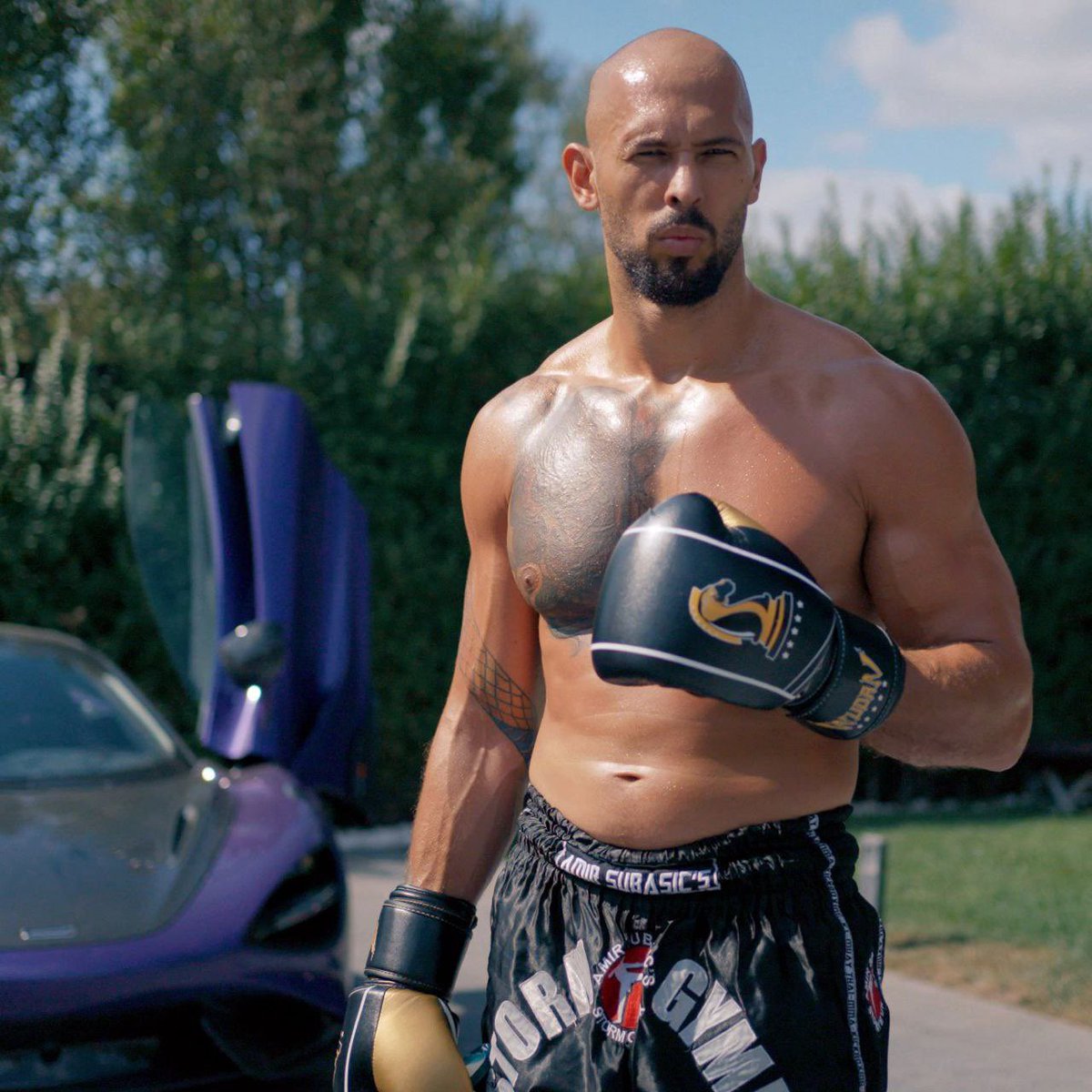 AccessTRW's tweet photo. 🥊 Andrew Tate’s Elite Step-By-Step Boxing Guide For Beginners.

A Thread: https://t.co/KrpizUSLA9
