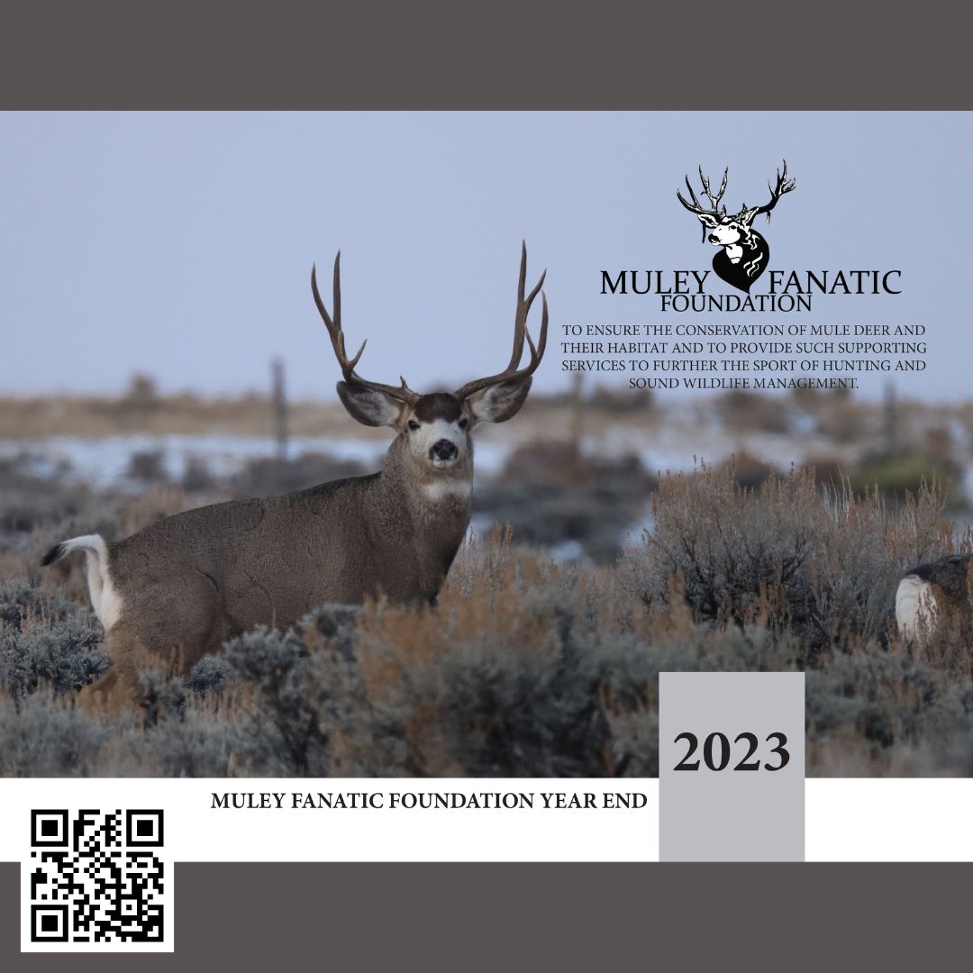 MuleyFanatic's tweet image. “I'm delighted to present the MFF Annual Report for 2023" - Joshua W.D. Coursey

Please use the link rb.gy/t2fet6 or the QR code to view the publication.

This report is a 52 page digital publication.  Please allow some time to upload this document.