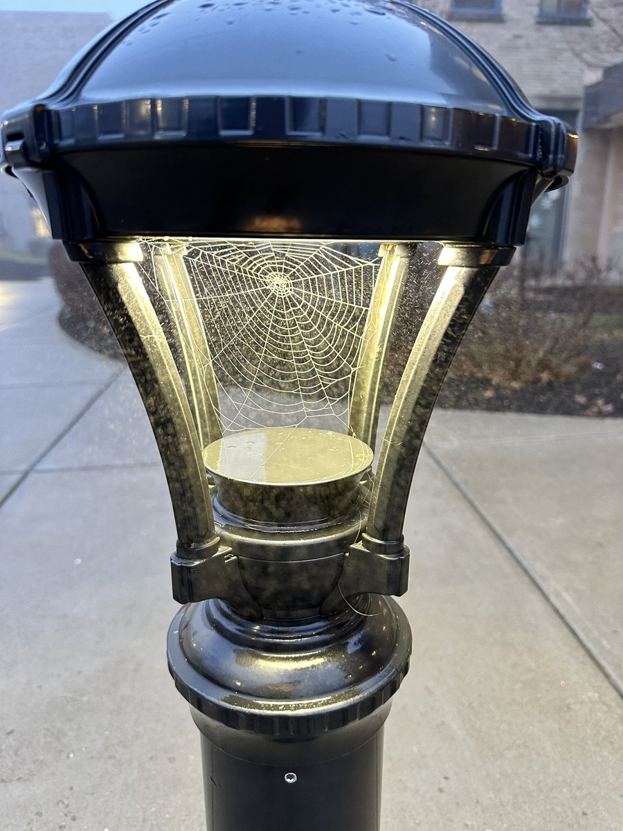 Moyer Elementary tweet media