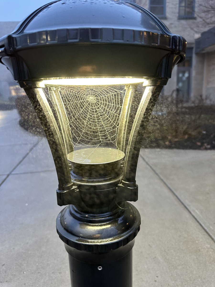 Moyer Elementary (@ftmoyeres) on Twitter photo Look at this beautiful web! Even the spiders want to be at the ranch. #TogetherWeAreBetter
<a href="/FTSchools/">Fort Thomas Schools</a> Look at this beautiful web! Even the spiders want to be at the ranch. #TogetherWeAreBetter
<a href="/FTSchools/">Fort Thomas Schools</a>