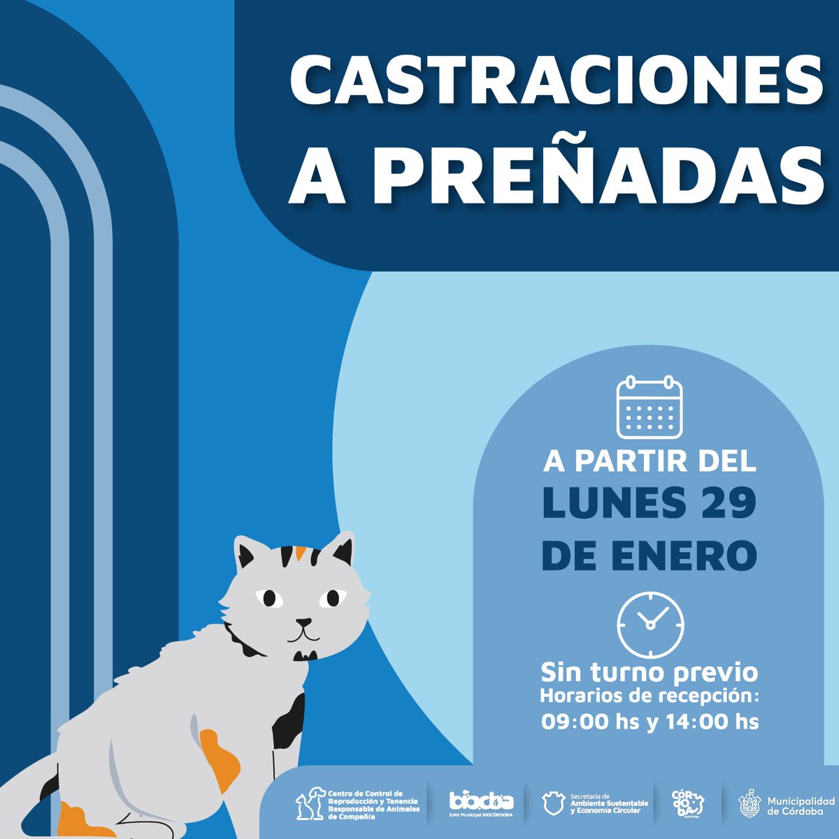 🐶ABRE EL TURNERO PARA CASTRACIONES!!🐱

📱A partir del 26 de enero podés llamar al 08008880404 o por WA al 3516100444 para solicitar tu turno.

🫱🏻‍🫲🏼Recordá que es un servicio gratuito.

🙌🏼También continúa la castración de preñadas