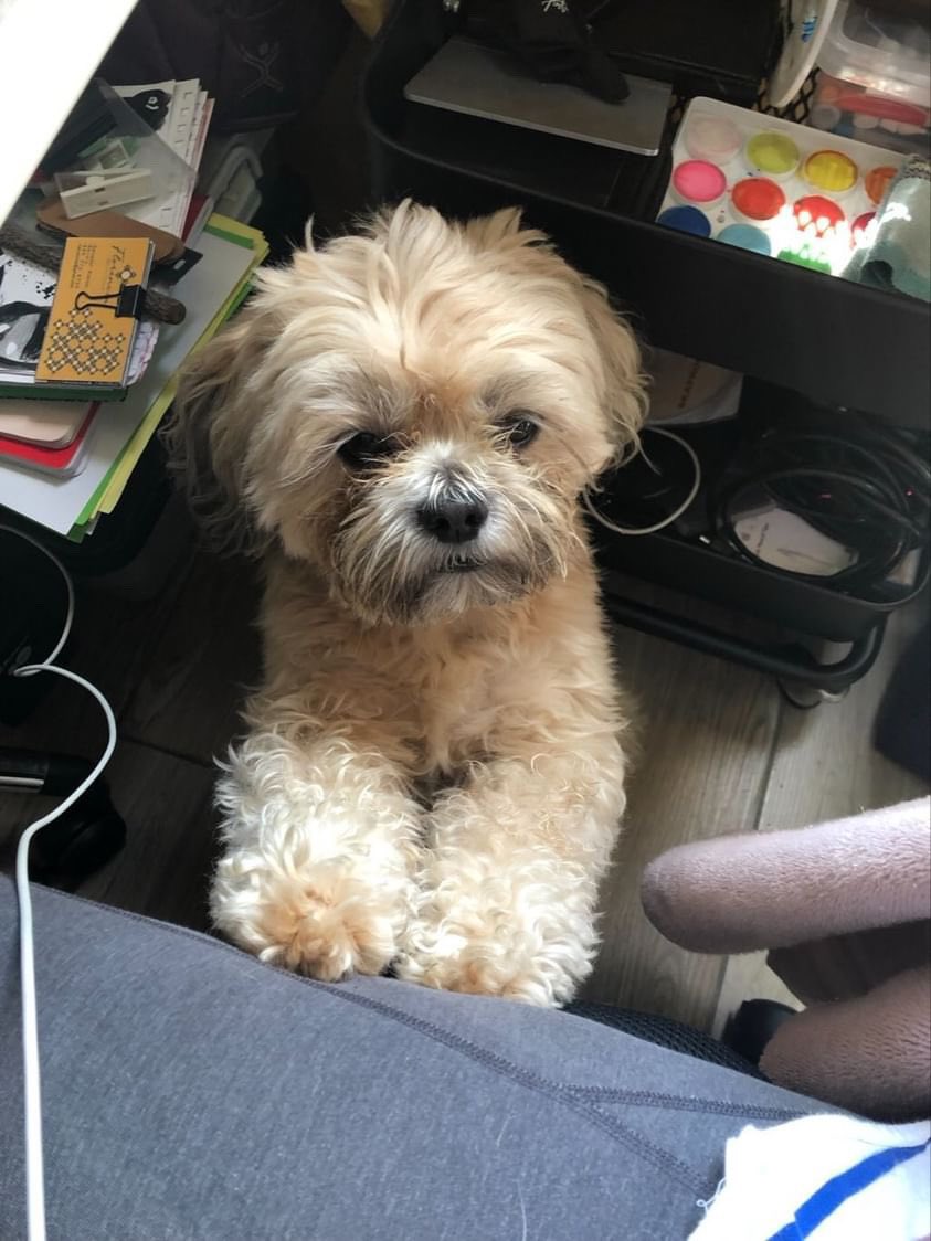 Jocelyn Vázquez instagram.com/p/C2iC80tvoXg/…