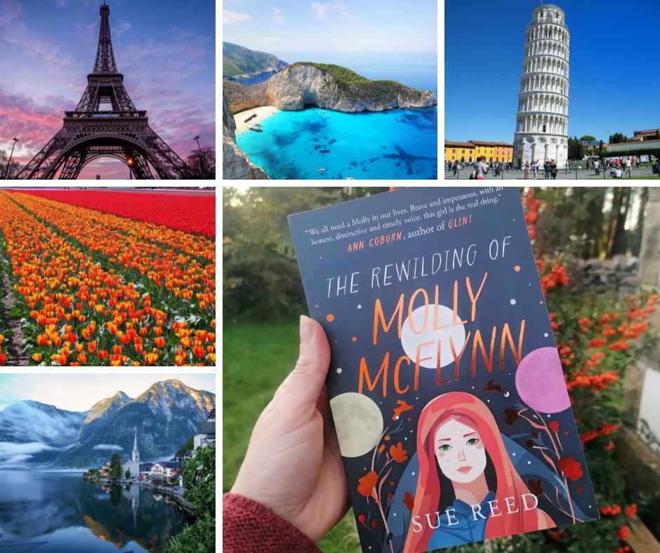 Heads Up! If you or any of your friends in #EU countries want a copy of #TheRewildingofMollyMcFlynn it can now be ordered at #indiebookstores via GardnersEU Pls share!
#WritingCommunity #booklovers 
#BookTwitter