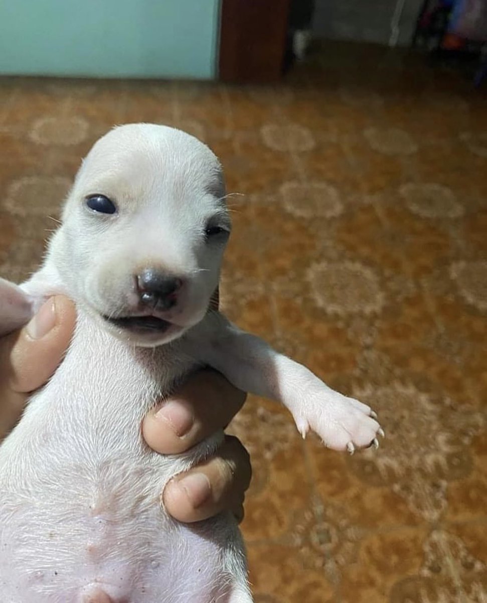 s4m31p4n's tweet image. I think you dropped this