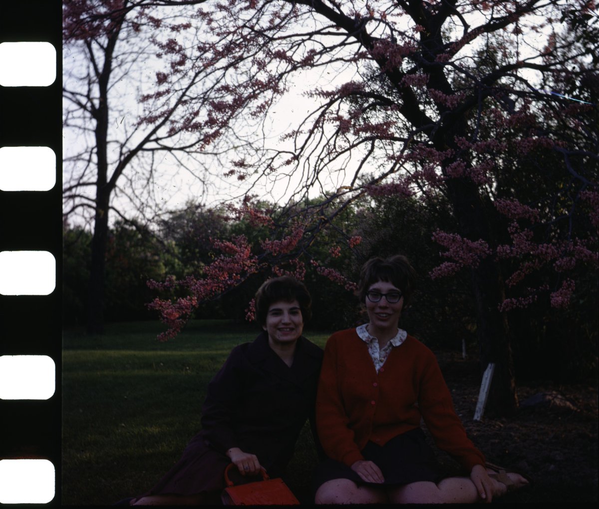 💀 Unholy Enchantress 💀 tweet media