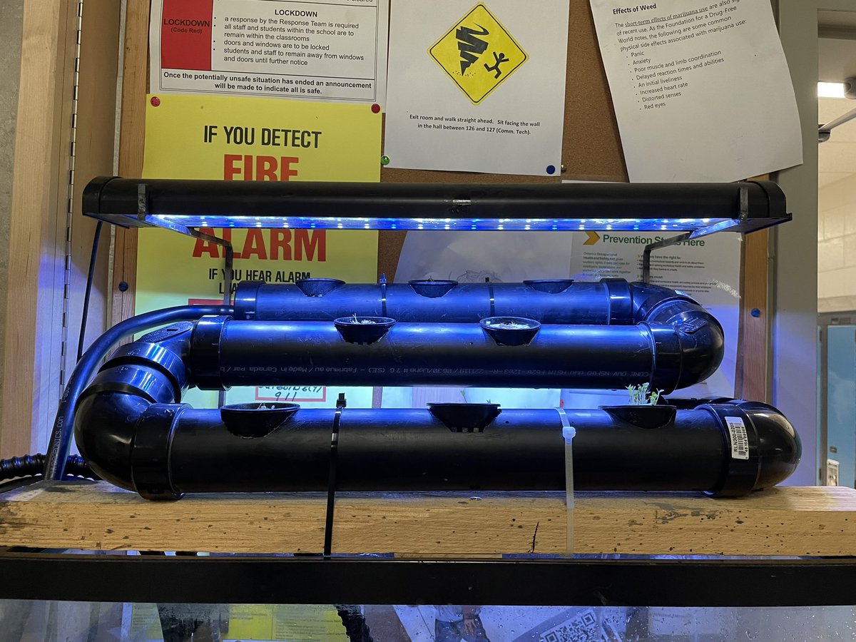Amazing gravity fed aquaponics system build by a Montcalm Gr.12 Green Industries student! Great work!! <a href="/MontcalmCougars/">Montcalm Cougars</a> <a href="/montcalmguides/">Montcalm Guidance</a>