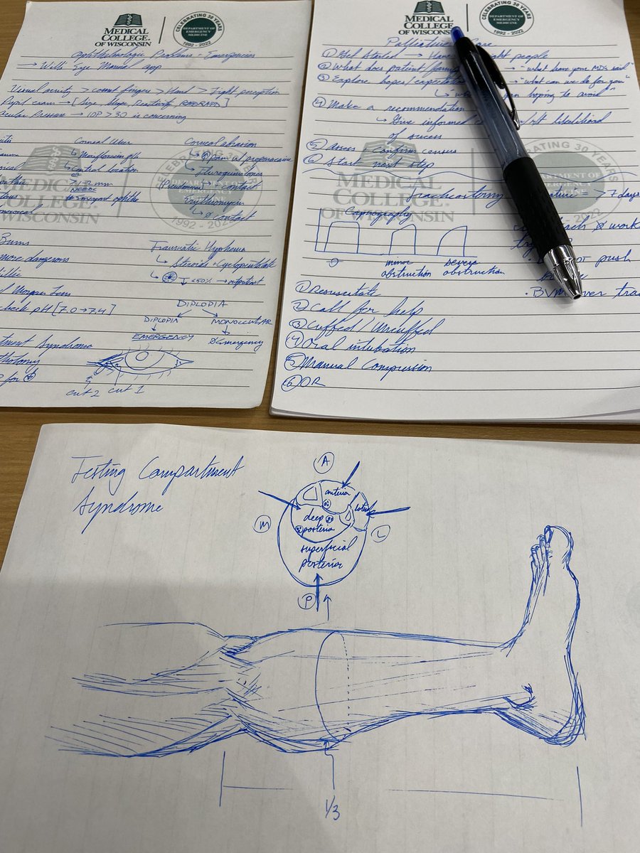 zummie's tweet image. Notes and anatomical doodles from @MCWEmerMed conference #meded