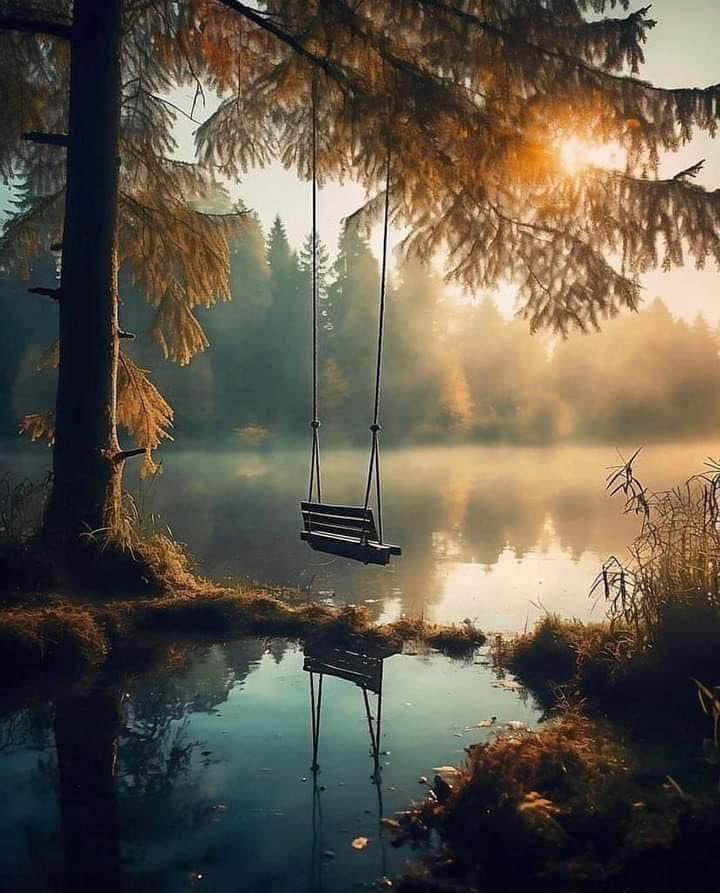 Good evening reflex nature ✨✨