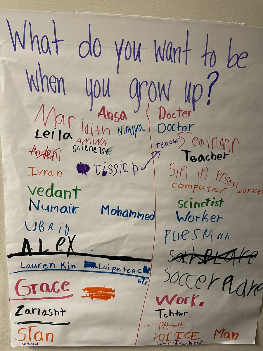 Mrs.Hoffmann tweet media