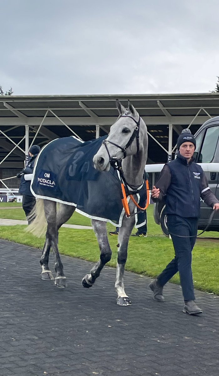 Not his day today but still the King Of Wetherby, No Risk Des Flos 🥰🥰💙