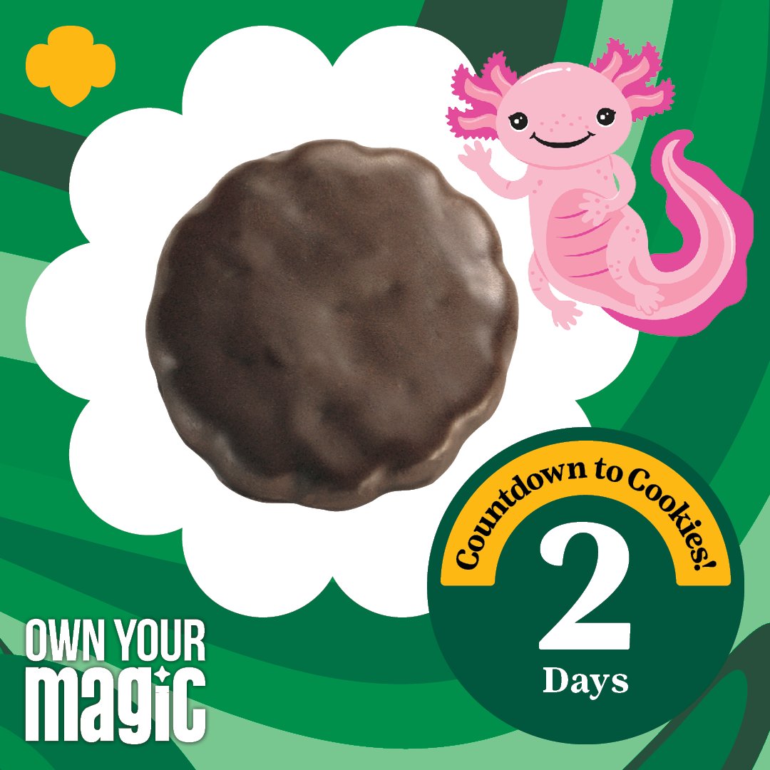 GirlScoutsCCC's tweet image. 🎉  Today we share the all time favorite the mint-tastic Thin Mint!🌿 Get ready to indulge in a world of minty goodness. #CookieCountdown #ThinMints #GirlScoutCookies