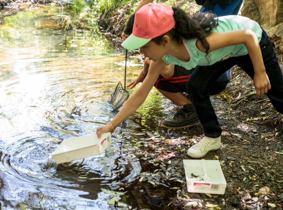 Funding available: We’re seeking one or more providers of watershed and stormwater pollution prevention education for K-12 schools in Alameda County, including assemblies, classroom activities &amp; more. Applications due 3/15.   cleanwaterprogram.org/educational-se…