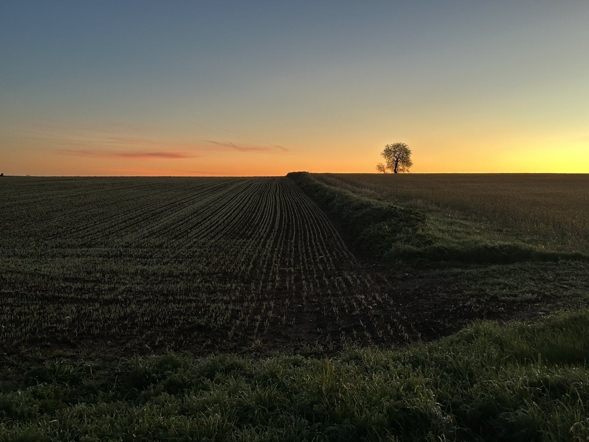 Eugeniobdi's tweet photo. Y a las 8.29 se ilumina, con toda naturalidad, este día del #invierno, dando luz y calor hasta a los pálidos vendedores de #IA https://t.co/O5MyuJM4jf