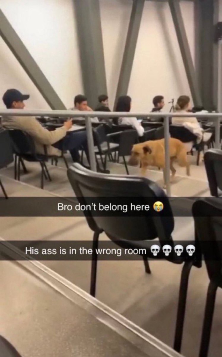 Trey (Alpha R.) tweet media