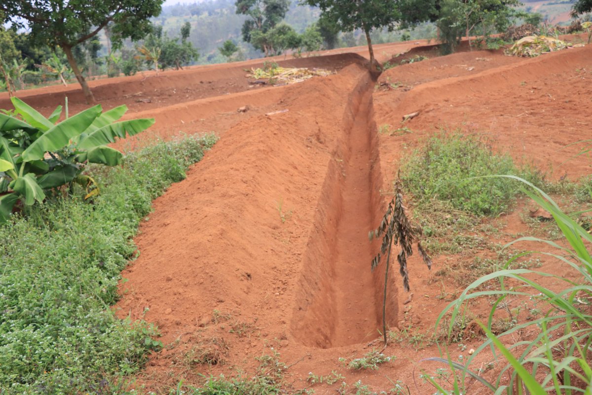 Bugesera District tweet media