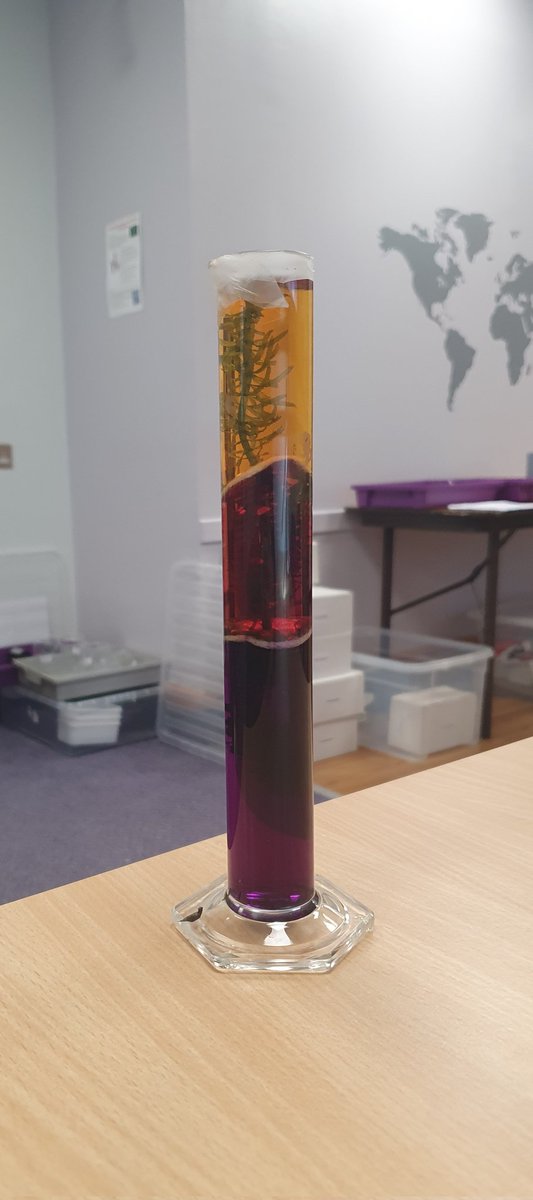 MissJDuncan_'s tweet image. A fantastic couple of days at the @SSERCofficial Probationers Residential. Lots of great ideas to take back to the classroom💡🧪
#nqt #professionallearning