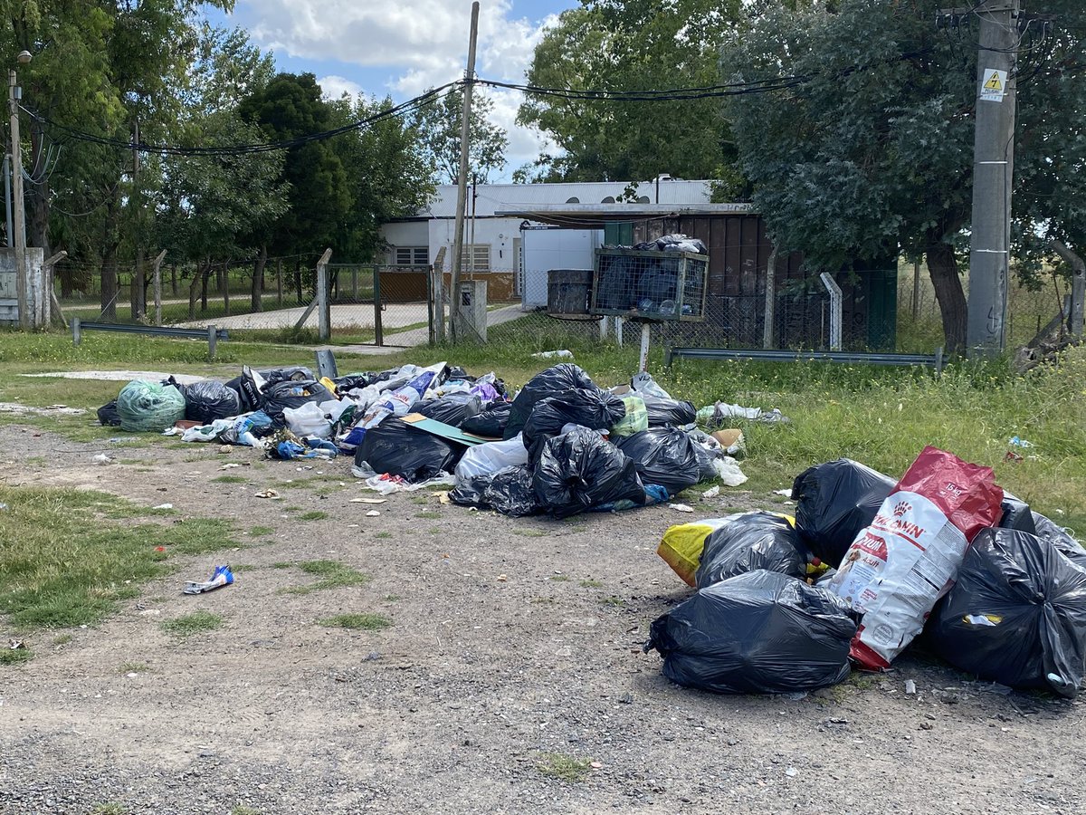 HBJS14's tweet photo. @LaPlataMLP Así está la zona de buchanan la Plata con basurales a cielo abierto en la puerta de la escuela 77. Y pastizales de más de un metro de altura. Abandono total. Nidos de ratas y olores nauseabundos. https://t.co/J1X8Jr5u3T