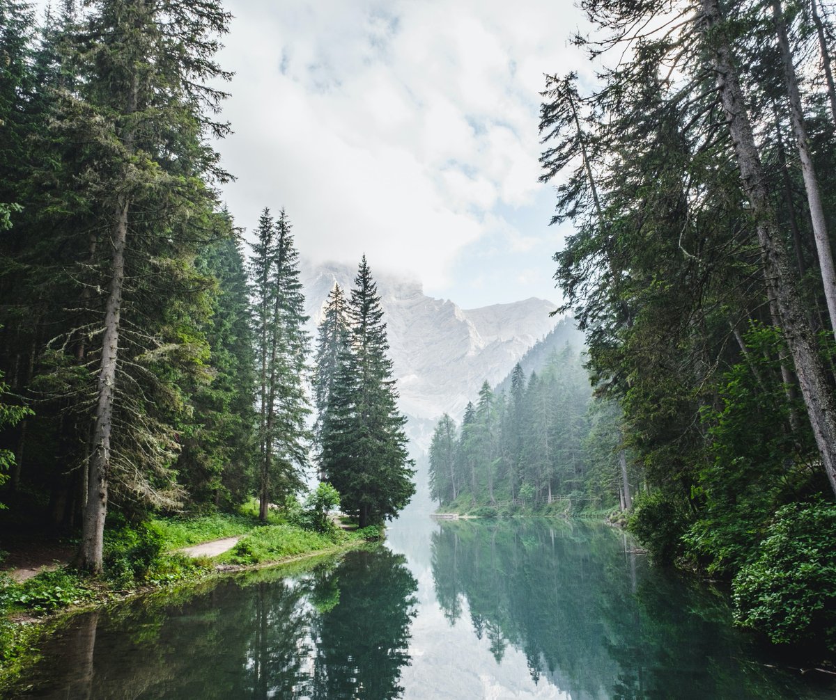 Geocaching tweet media