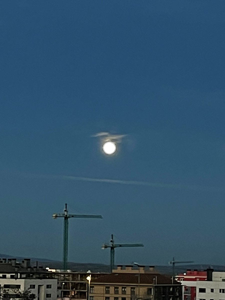 auritrilliz's tweet photo. Preciosa Luna 🌕 Luna 🐺
#lunallena #lunadeinvierno #lunalobo https://t.co/WbosODMCXU