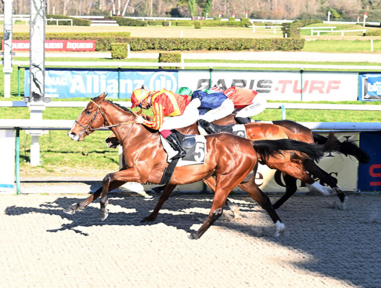 Pour sa 2 sortie de l’année, Basheer (Ectot @harasdulion) est parvenu à ouvrir son palmarès dans le Prix d’Abère (Maiden) sous ses nouvelles couleurs, celles de Jacques Anxo. Entraîné par @ecuriebrogi, il était associé à @JeanEyquem. 📸 R. Polin